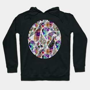 Abstract Paisley Hoodie